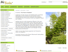 Tablet Screenshot of mc-bambus.de
